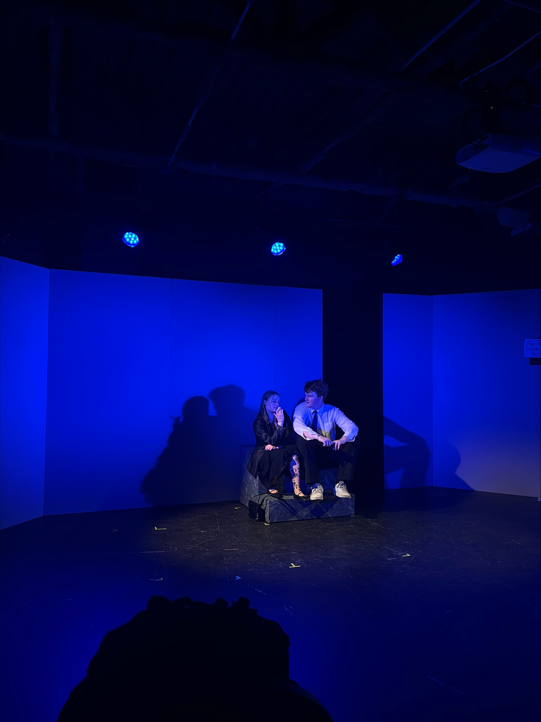 Showcase shines spotlight on seniors