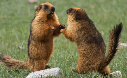 Who Can Phil the Hole in Phil’s Heart?