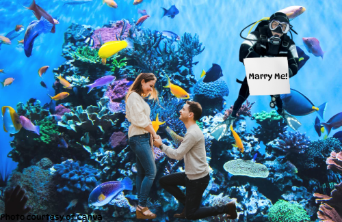 Ways To Put a Ring On It