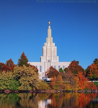 MomTok Will Probably Not Survive This: Taylor Frankie Paul Crash Course