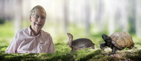 Mitch McConnell’s Has a Dirty Little Secret